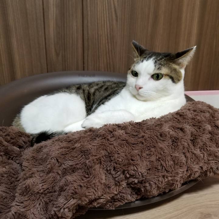 E6eb5484 f528 4b7f 9166 a9f6358f4a17 1603227728961