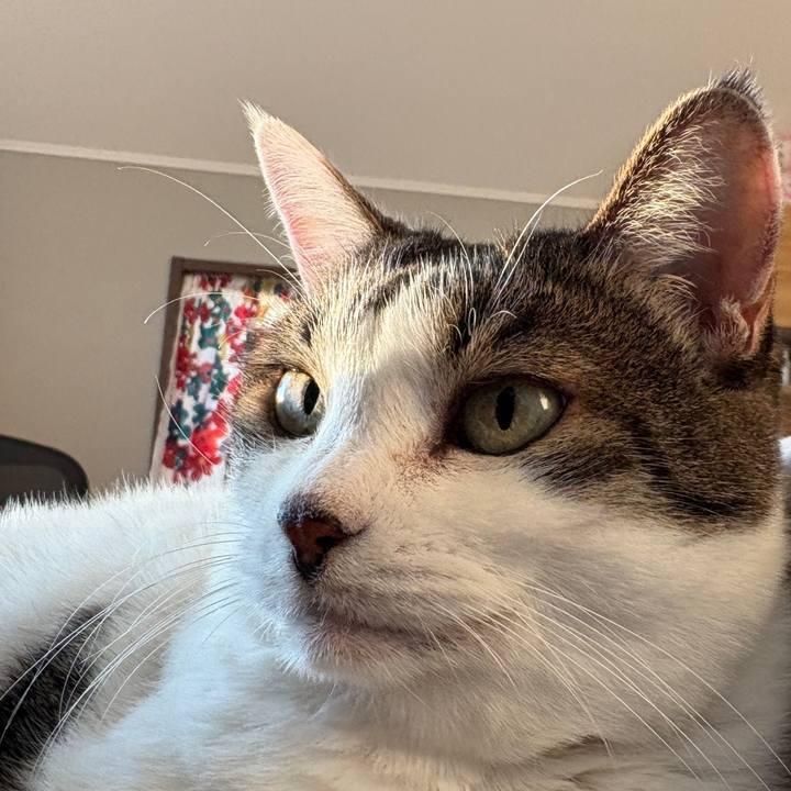 E6eb888e c20f 4149 8cc2 919bef90ea2c 1763363510417