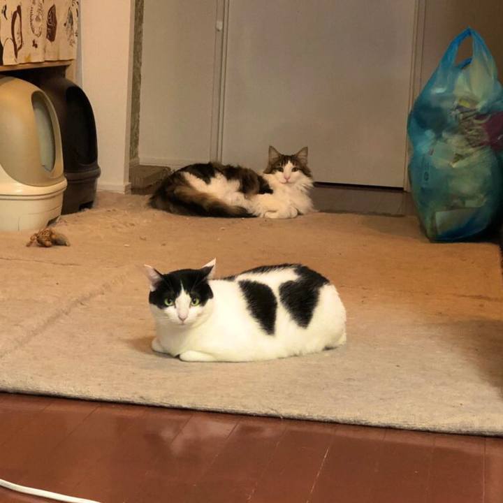 E6eb9ffd 4bf5 48c2 84c3 8101672d13c2 1549320637723