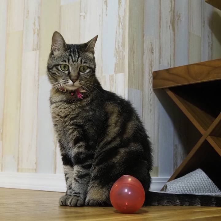 E6ebb2e4 92ed 471f a84e 9f206438c031 1626096538044