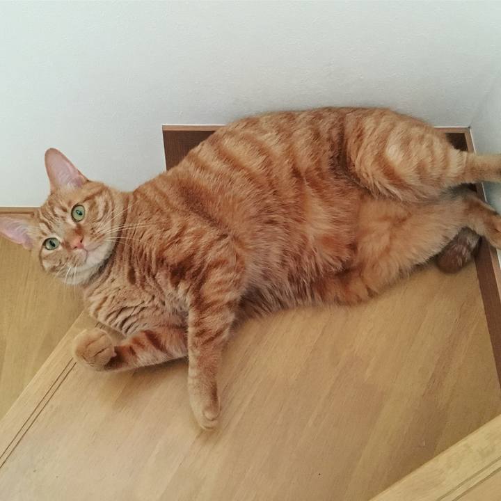 E6ebea65 a150 4ffc 9439 9788b0c3172c 1524953208861