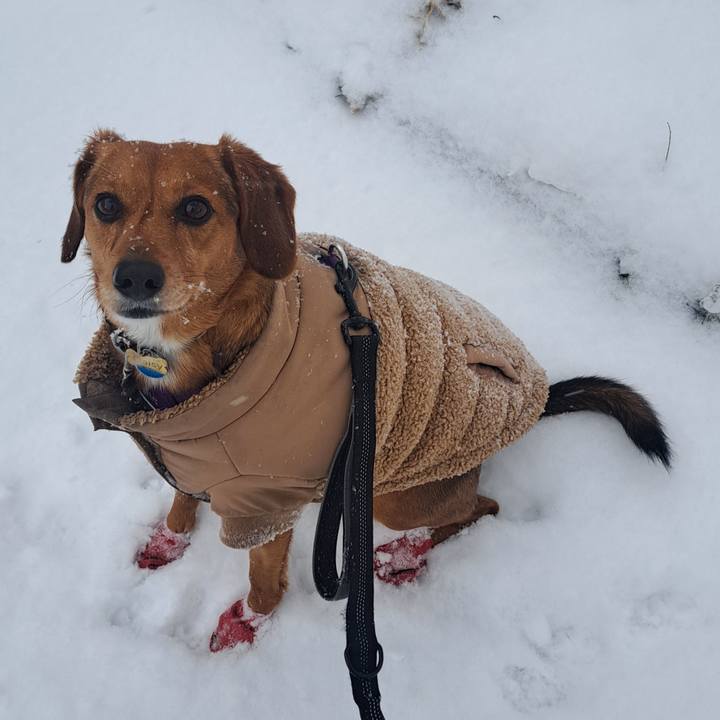 E6ec0c42 77e3 4a6f a9c0 dd50e4be49a8 1767654825868