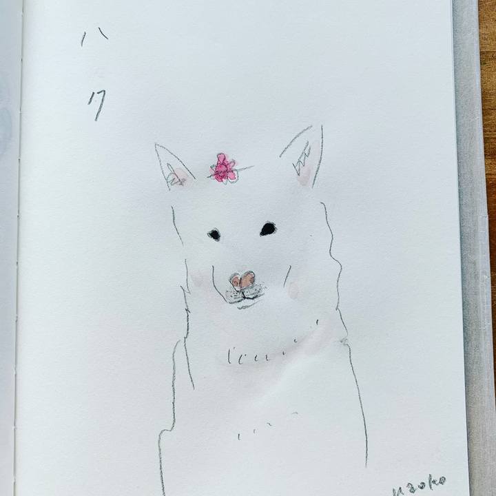 E6ec1a07 635d 4597 ba7b 12350d91a1aa 1589357466024