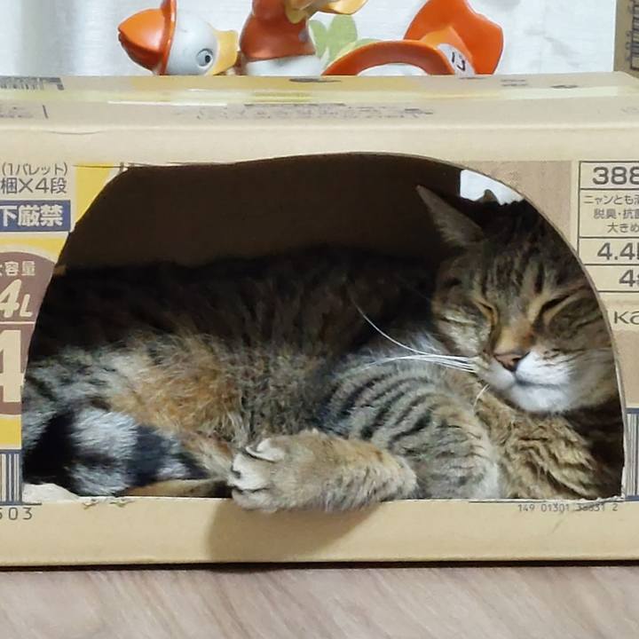 E6ec68b4 d6cd 470b 8a06 251a65e9592f 1709773194408