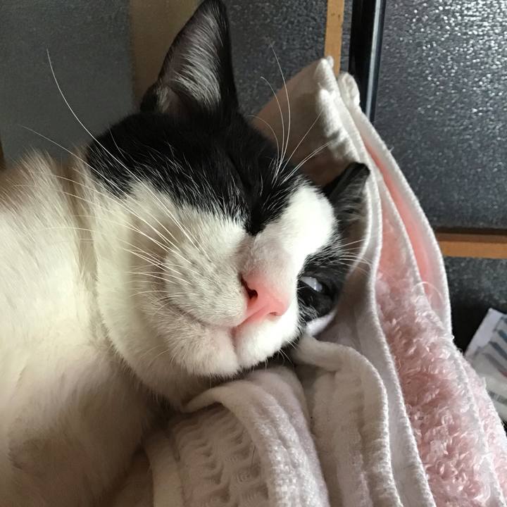 E6ec68db fcee 4600 afac dbd1e7ef1215 1633236439822