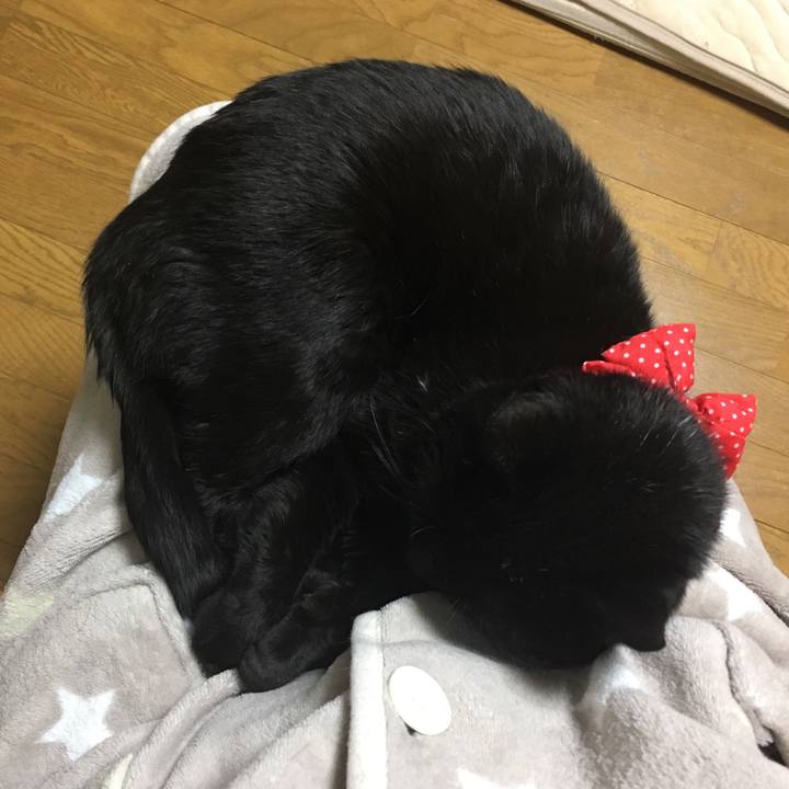 E6ec691f e28d 4c06 85e8 f8ff05a13cfc 1547589648185