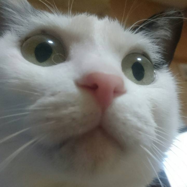 E6ecda5e b4e7 4bf1 b4bb b491b51fffcf 1520339645230