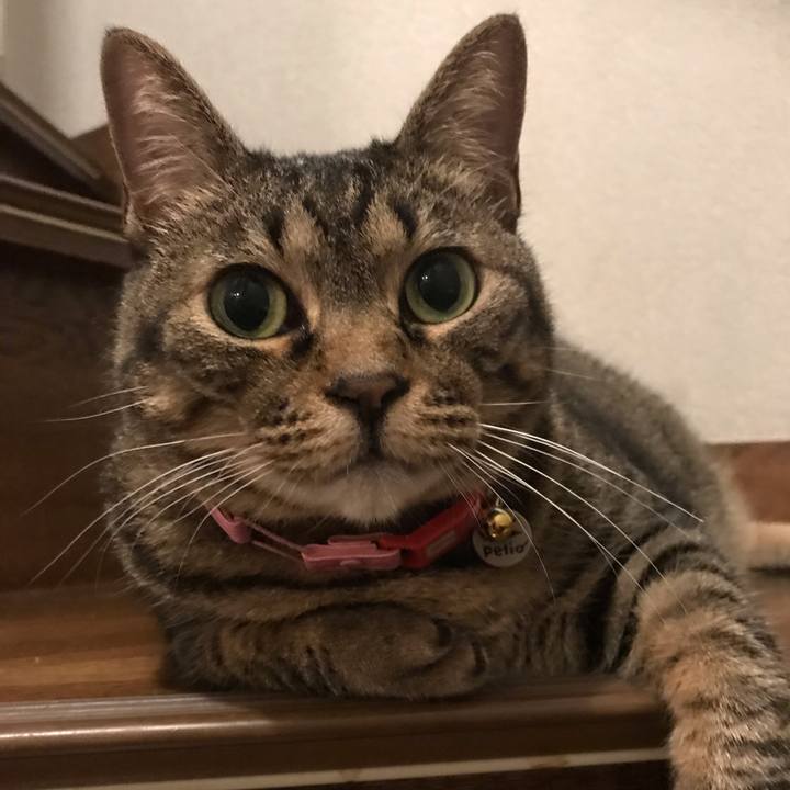 E6ed2326 63a0 4f22 91b5 2ede441fb2bc 1597850332441