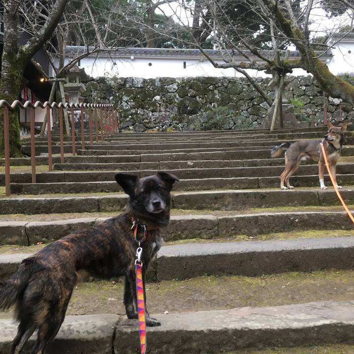 E6ed3a71 317e 4da3 8bd6 c0fd24c433ff 1515244861688