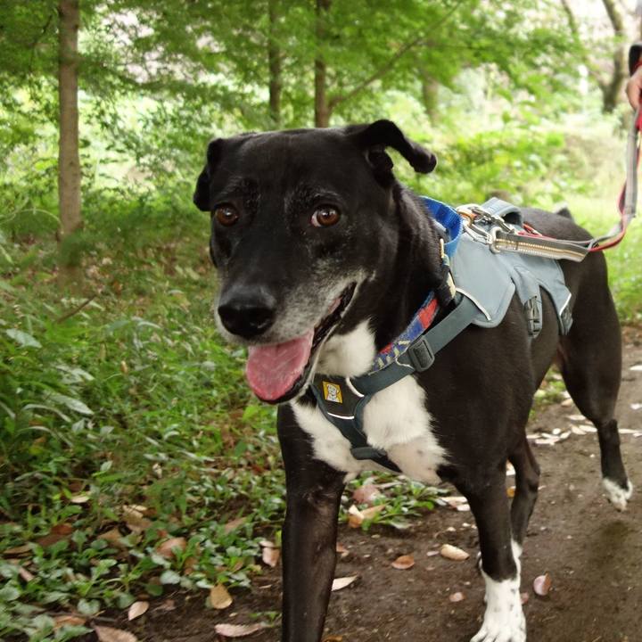 E6ed4963 2594 46e4 b50c 78aa68891522 1729123601912