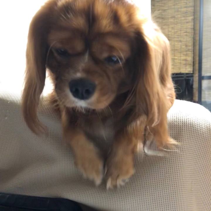 E6ee06c4 970f 4297 826d cc9163259c6a 1569847885439