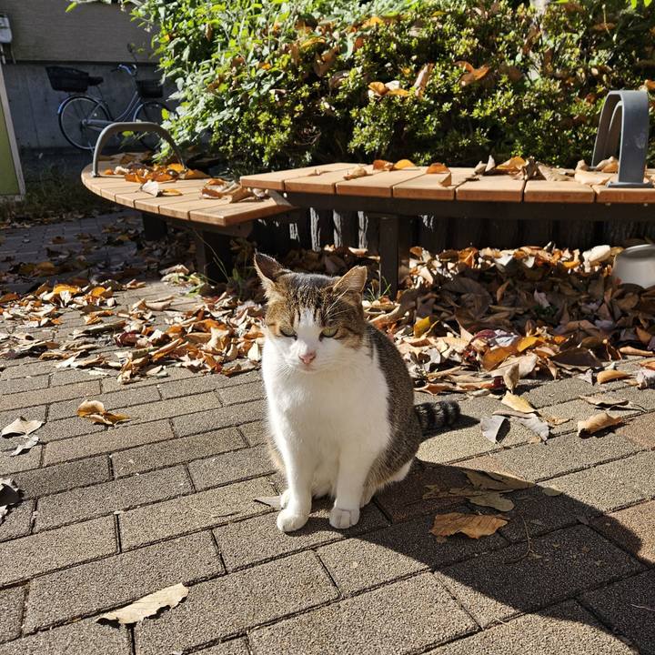 E6ee36a6 77ff 4a35 be4d 6a10a9ae7c44 1701527352300