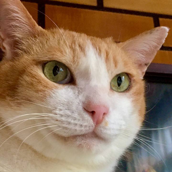 E6ee4ea6 d39e 42bb ba2d 0f7cebe805ba 1623135860209