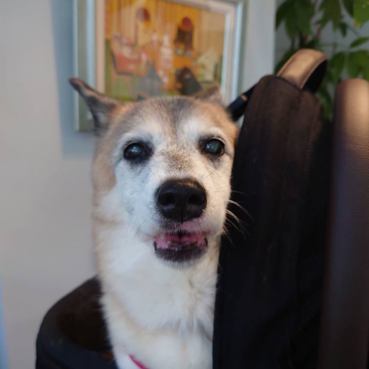 E6ee5494 42ca 4c8f a021 02a08104eba1 1755938875045