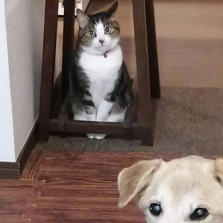 E6ee60bb 389e 41ab 9717 72cad8fe8f3c 1606387067989