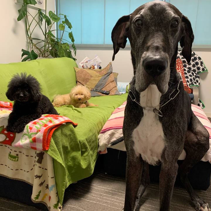 E6ee9726 5dda 47d7 a5a8 05ce15bd4921 1598481025744