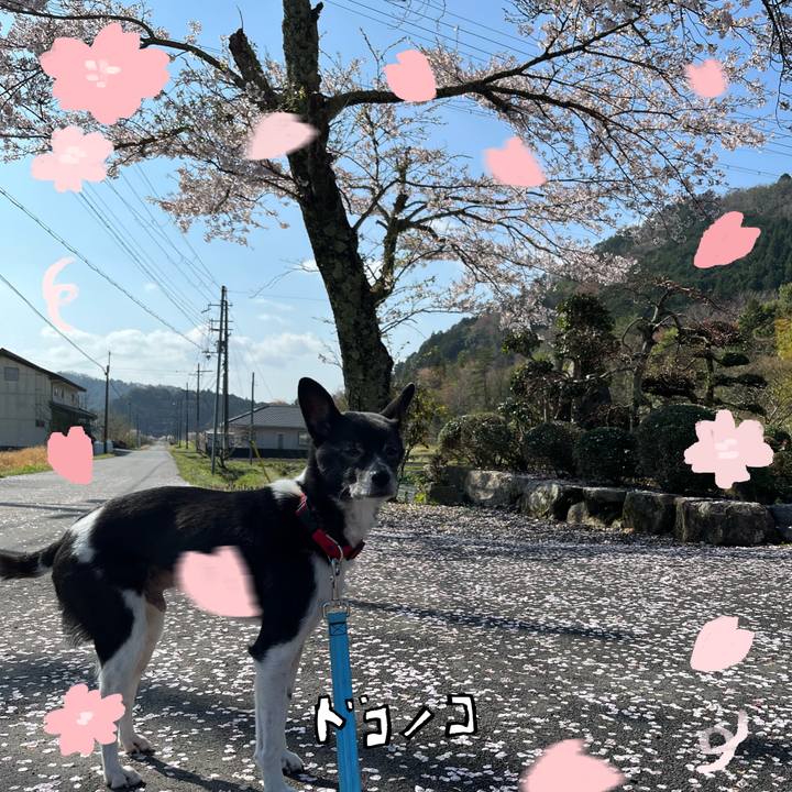 E6eebd90 3044 43e7 b5ff 01c5707b2ac0 1744604761794