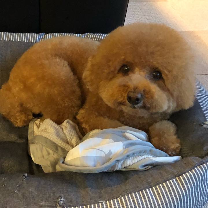 E6eee759 4e5e 4296 adc9 5fa94814b07e 1599817069069