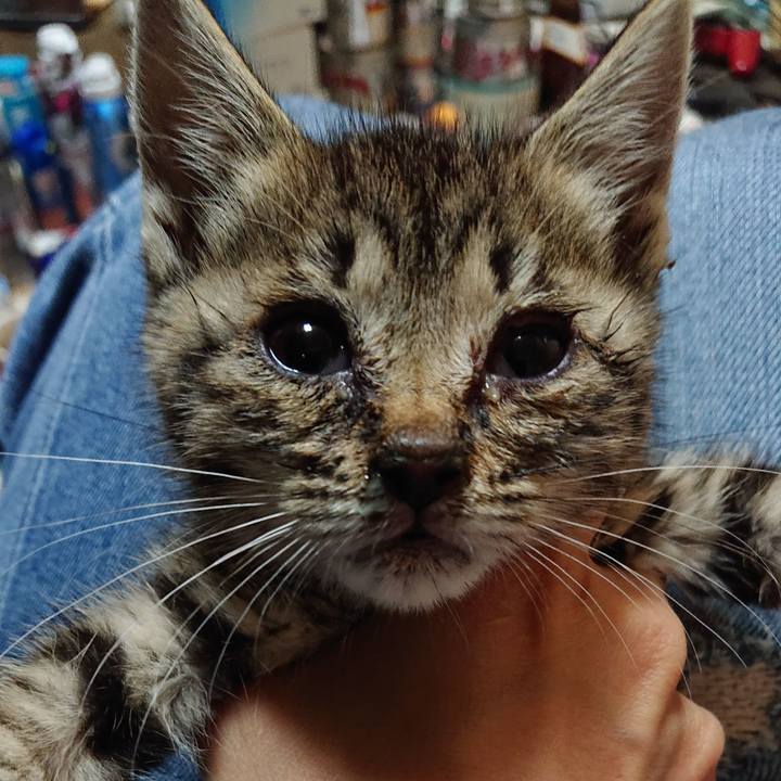 E6ef9eaa a740 479a 92e8 07db5533d7e1 1558097496994