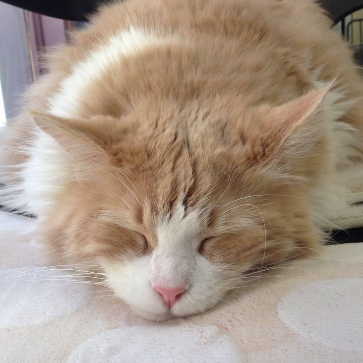 E6efb93b 44c0 4e41 a98b 3f11425ca382 1523059939341