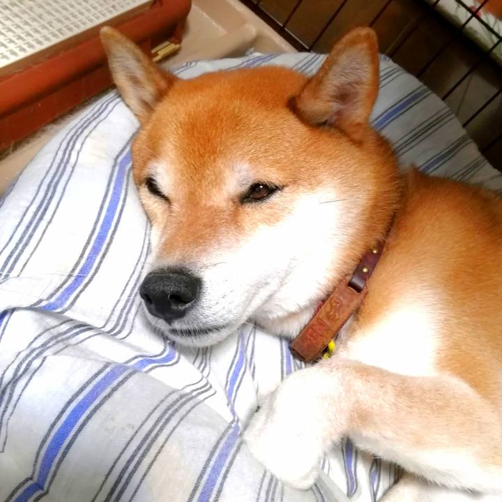 E6efdf19 fce0 4cb1 be64 7b5ccb9fea28 1660661433043