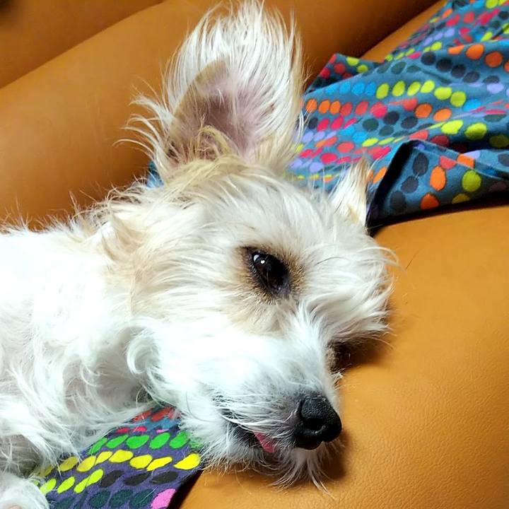 E6eff24d 8e83 402f 8db9 e4e21be86542 1544280926083