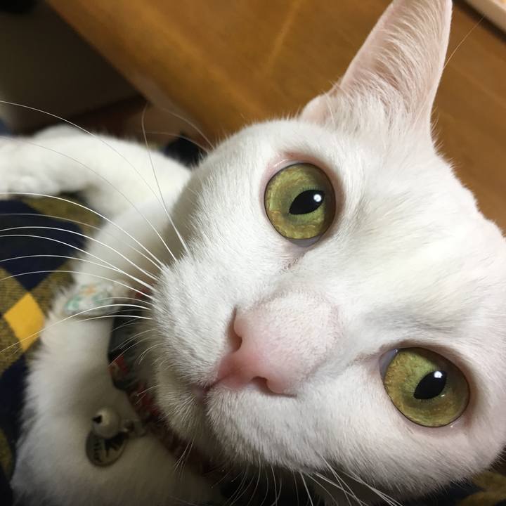 E6f01d7c ccd4 48a7 9ea1 a1d1f71a0312 1515236602738