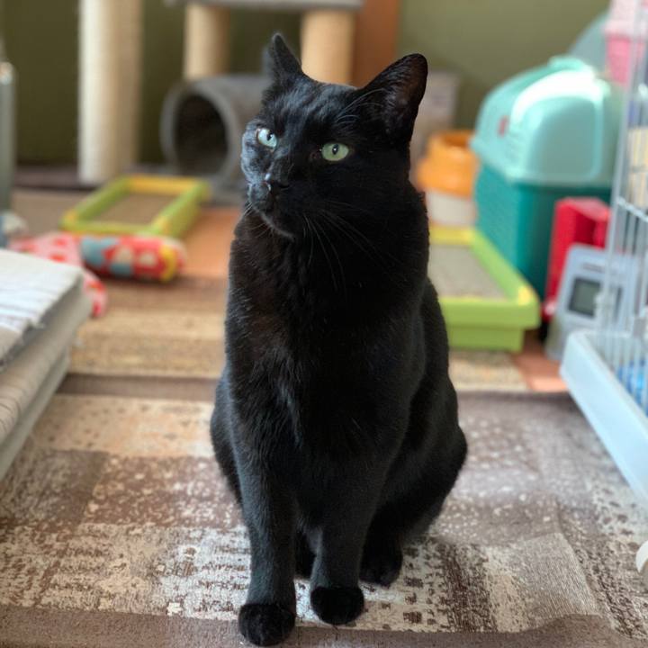 E6f07167 5254 44c0 8b61 cc643b1a5766 1584494341761