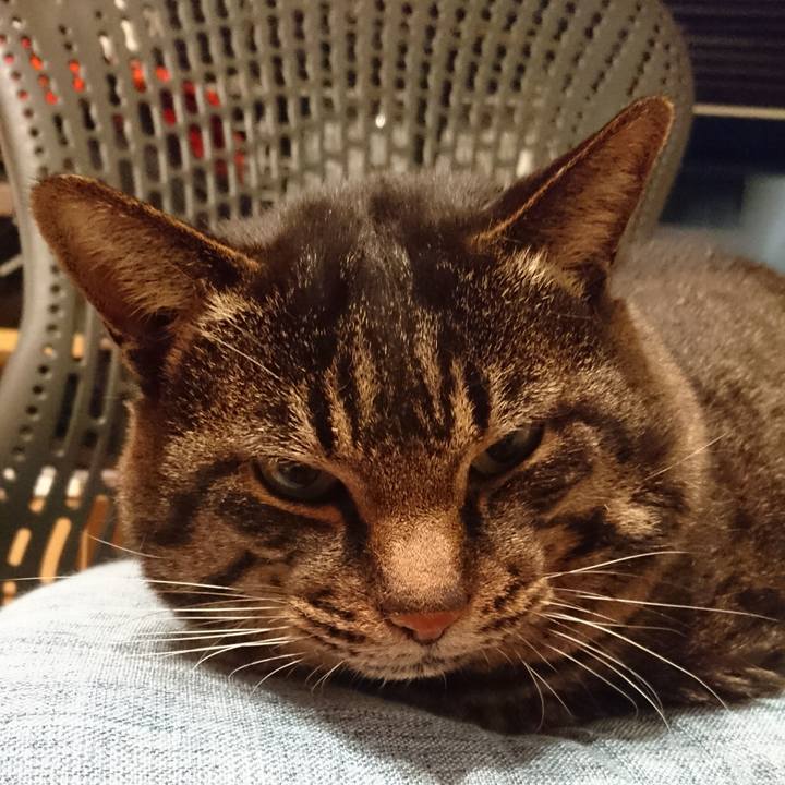 E6f0b900 4f1b 43c6 b4bc 1166d76974a4 1542112464347