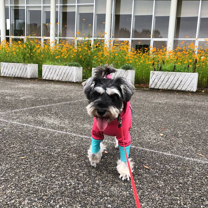 E6f0baec b3b8 4332 8154 7e4f99ca046b 1569070848304