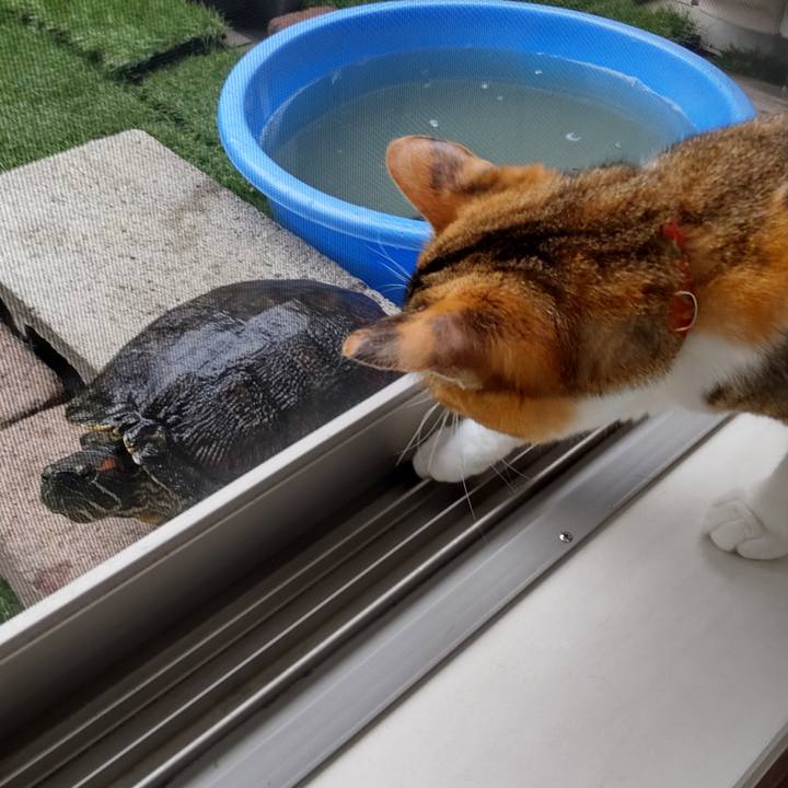 E6f0ceab 6705 482e 9498 acb5288750b8 1657751267248