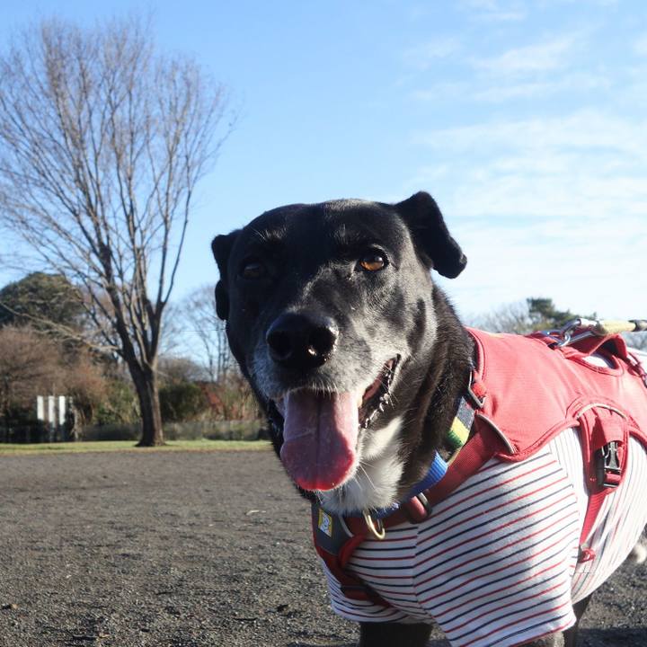 E6f10377 951a 4452 8c51 a7133ccad905 1670980410478