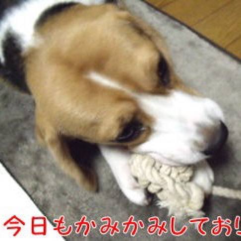 E6f1408c 8247 4126 85b4 f3cc2a7bea7b 1699575549995