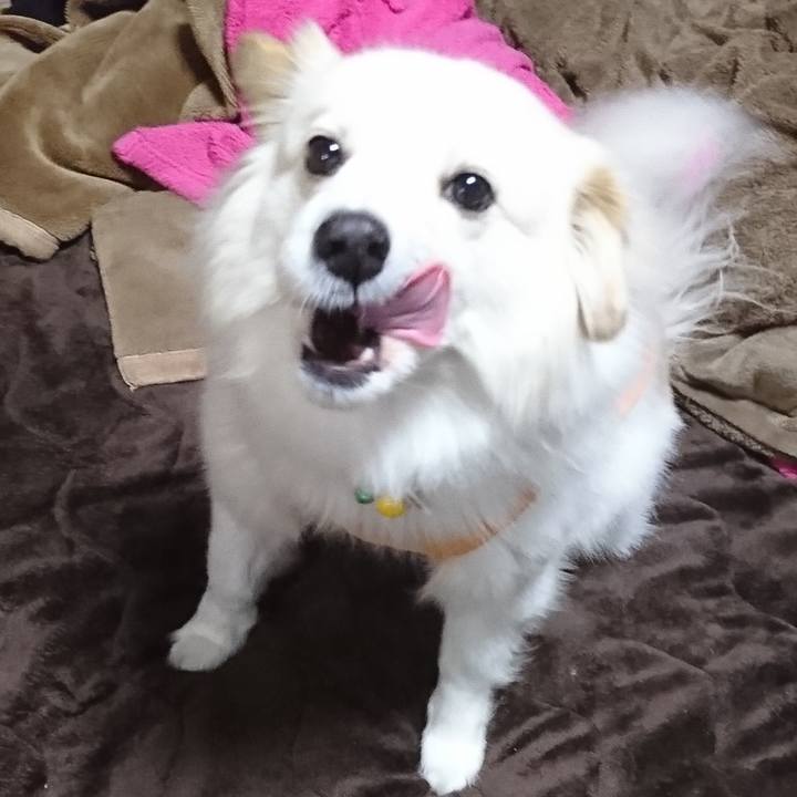 E6f152f5 f521 46c4 b554 5c7251c0e6ef 1521837627801