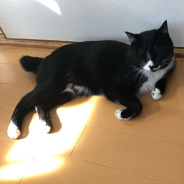 E6f15f9b b2e8 4a93 a7f9 14e039f9de37 1549250596642