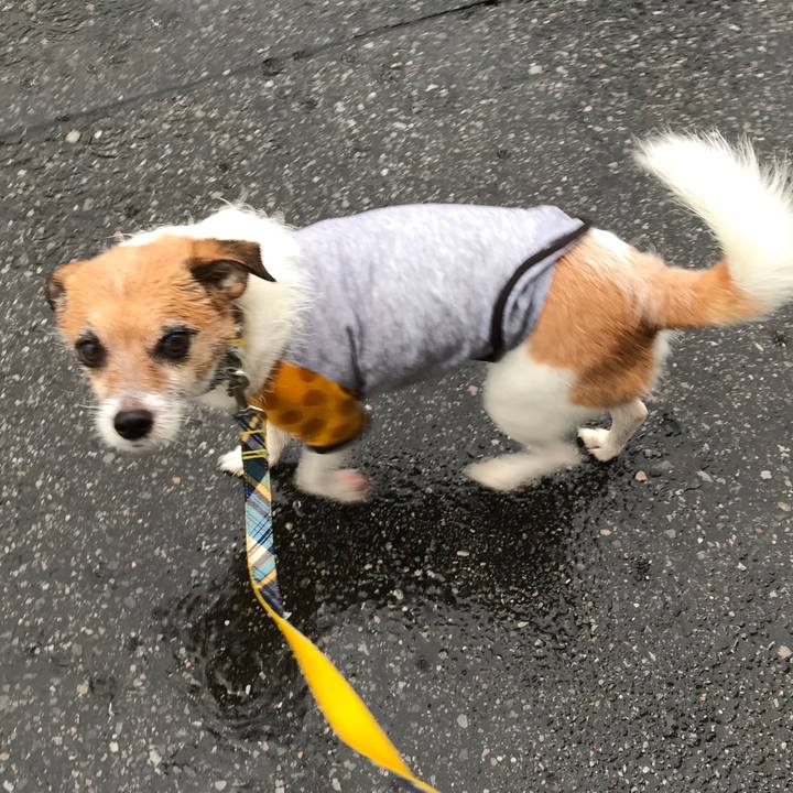 E6f175a7 ed79 4401 9d29 a0633f203291 1564174507502