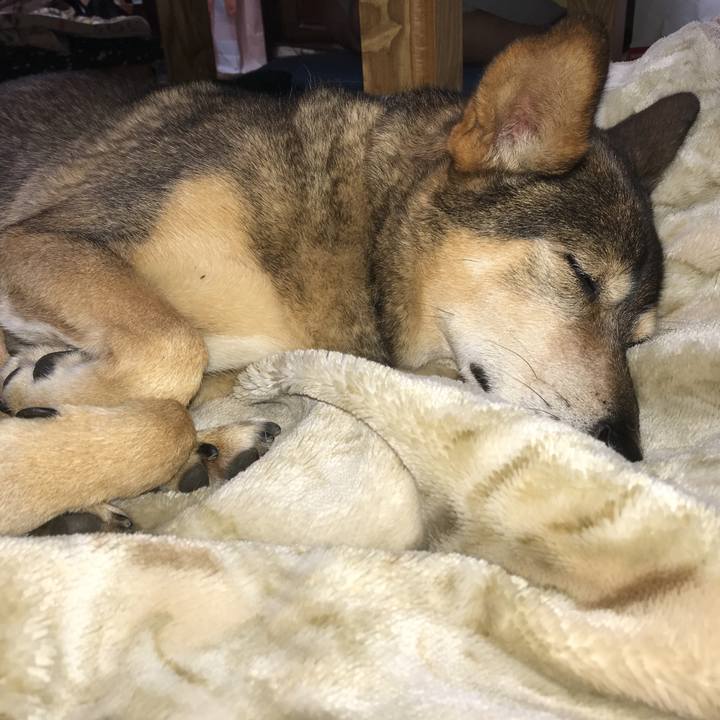 E6f1df3e 91f7 4008 8d28 d11e46826254 1507811602204