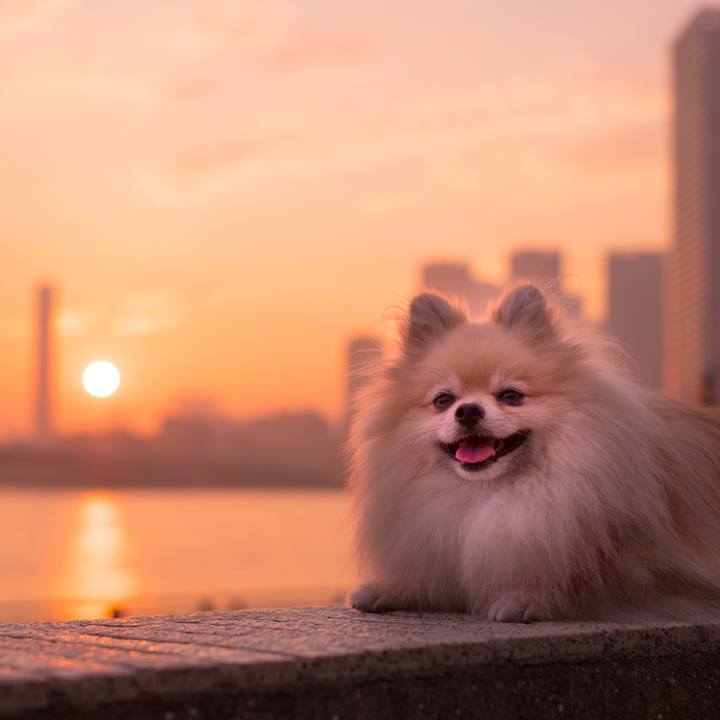 E6f1e180 87db 492a a697 ece49b5ba659 1508332417101