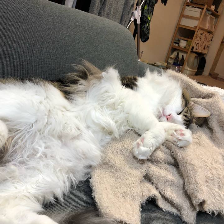 E6f1ec6e c12f 4f68 b2f6 c88c92c364da 1545280271627