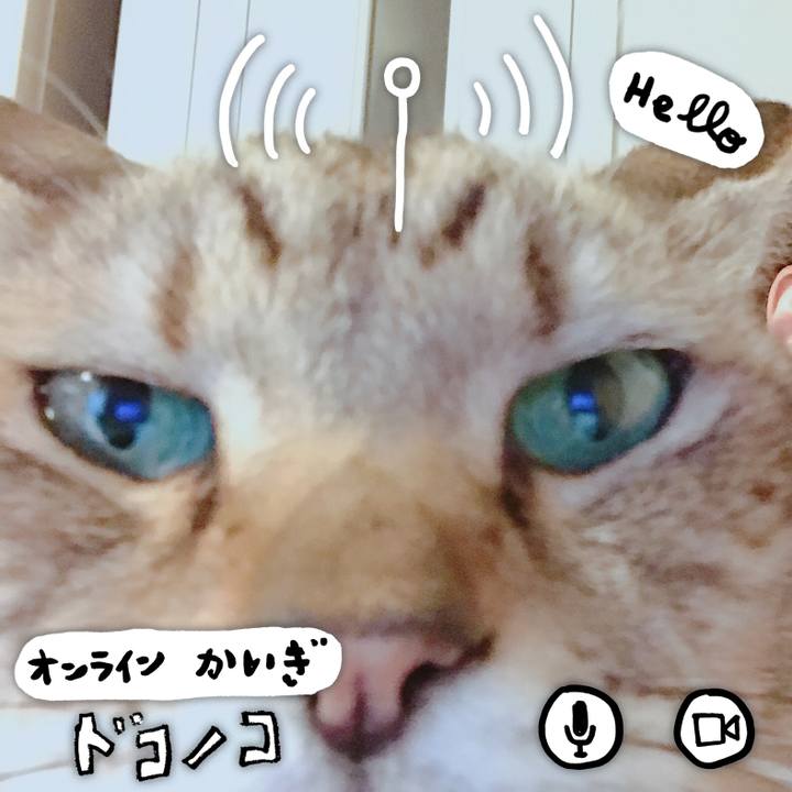 E6f213a1 a74c 417b 9c0a a254945d7d31 1590724695205