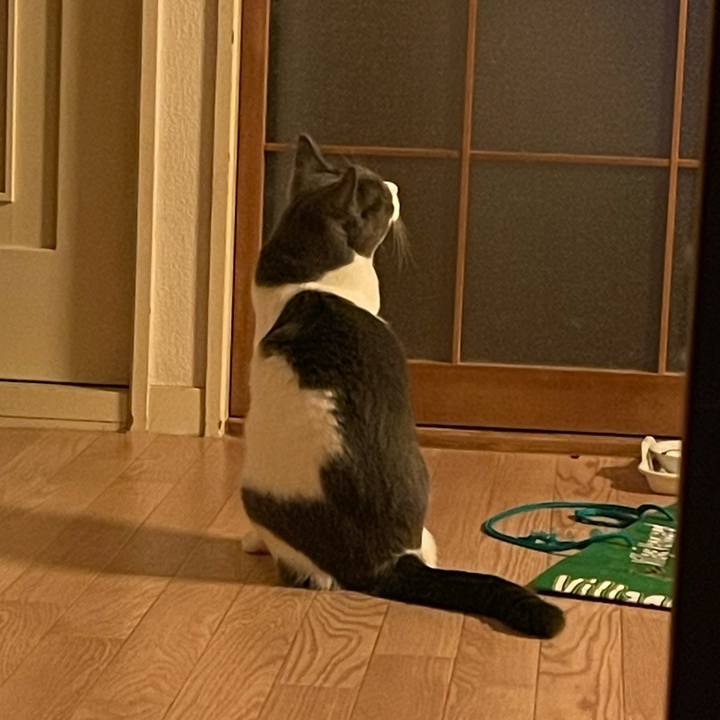 E6f24af9 5d73 4b10 89f7 9305997e2bbf 1658935559378