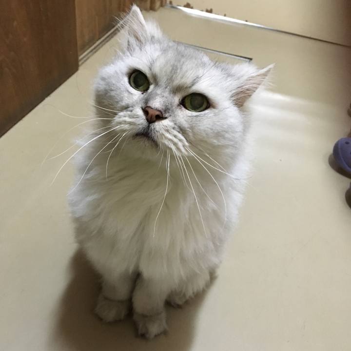 E6f24c3e 9bca 487f bc0d d9e1357cd64f 1510917998278