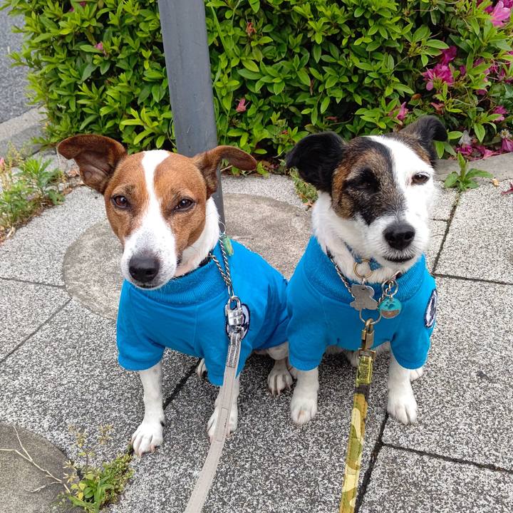 E6f2900c f32b 4c8b 83d6 f80578293215 1682896975754