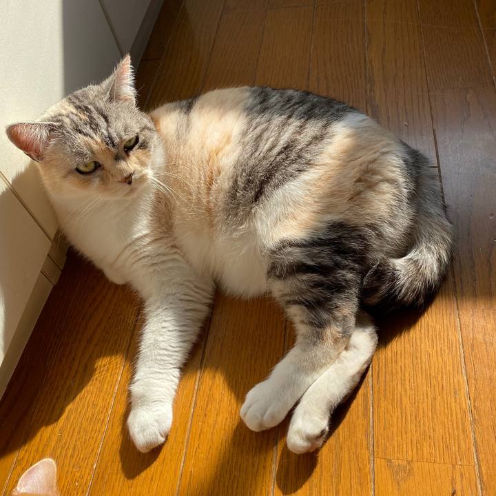 E6f2928e 1ba7 4b97 b66d e6cb31d49c1a 1580702936826