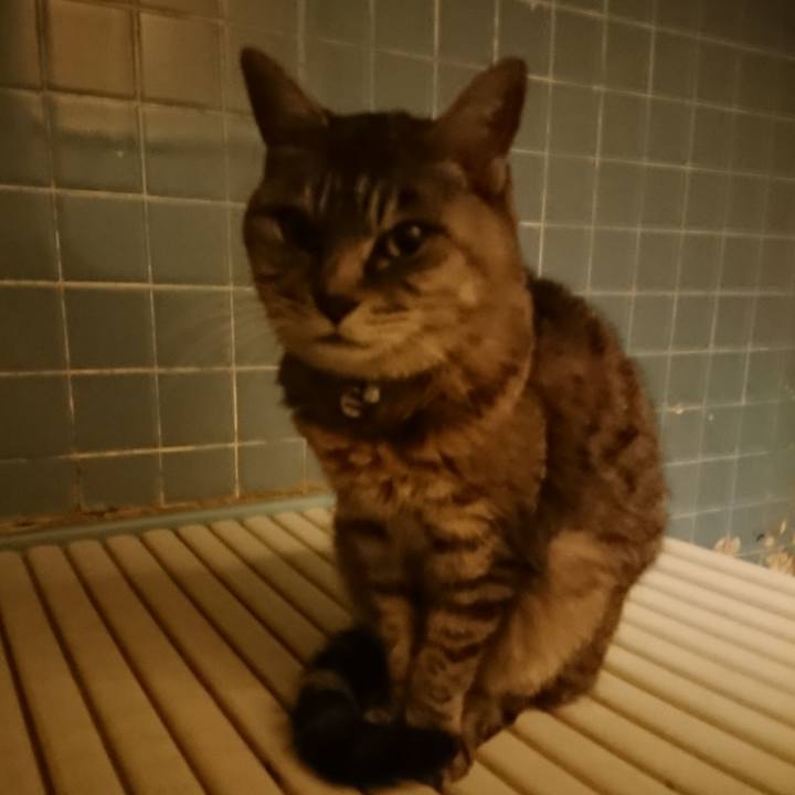 E6f2969d bedc 4fbb ae47 ee925a11a567 1571342518743