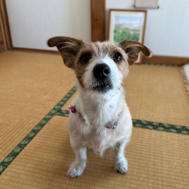 E6f2e468 e358 45f1 9176 079b28b645bb 1763773985923