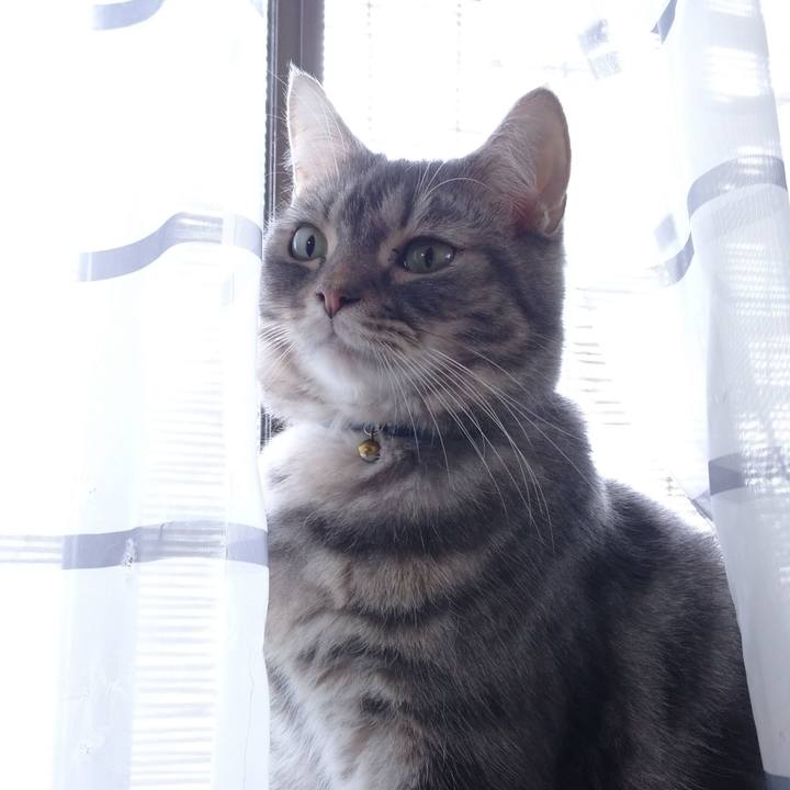 E6f2e55d 0f4b 45a7 b980 d6034d0e34ea 1634990106274