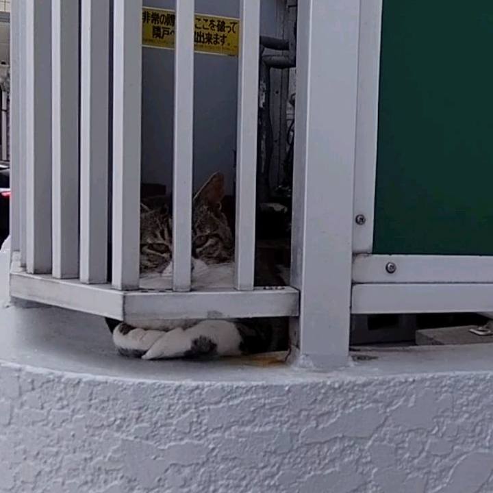 E6f2e7d4 84b6 4e4b 87ae 9915614f87de 1625451193469