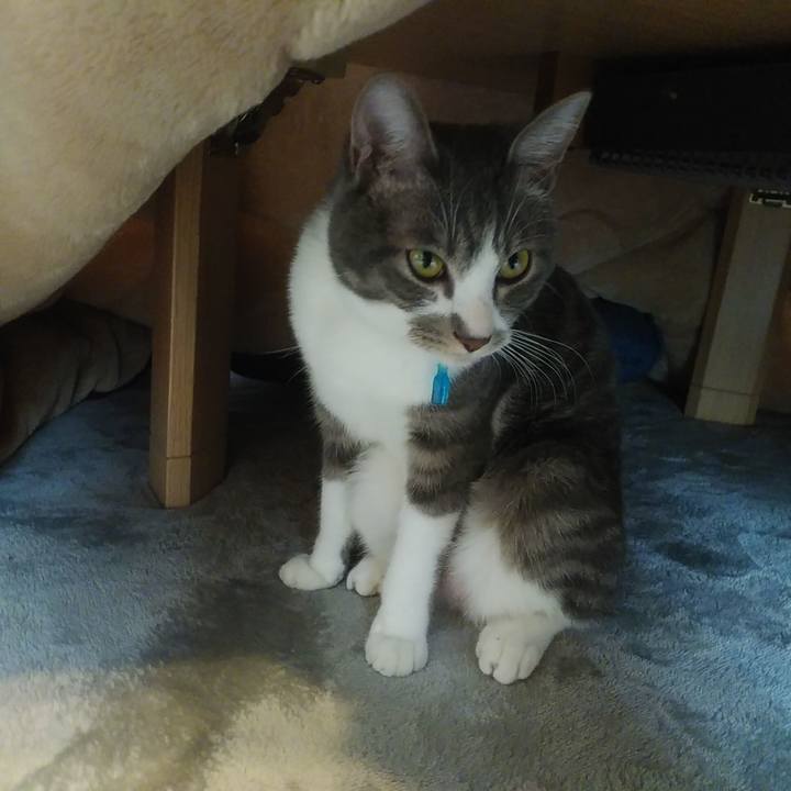 E6f31929 4231 4856 b0aa 2fe4516a6c83 1588053715068