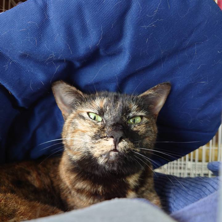 E6f32903 28f8 454a 8636 b5254f824d3e 1683372694801